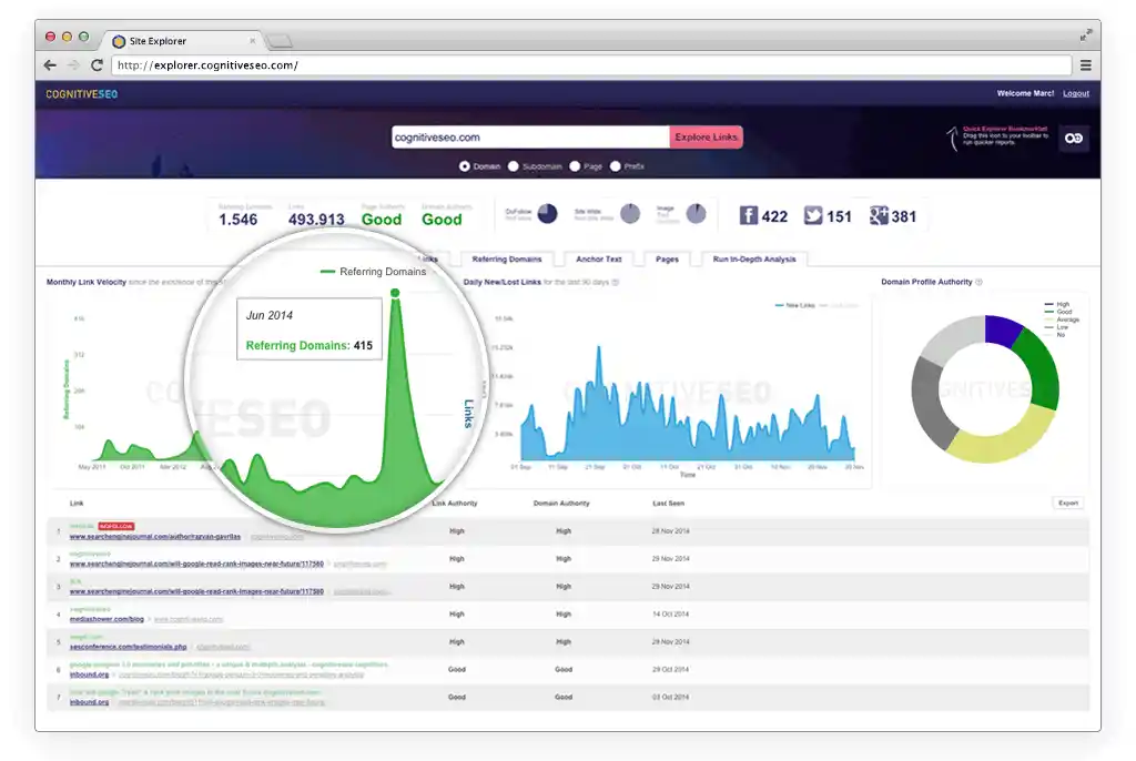 Competitor Backlink Analysis