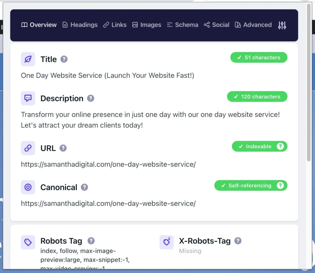 Detailed SEO Extension Overview