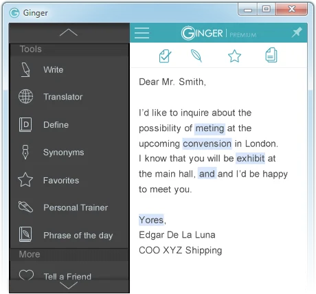 Ginger Software